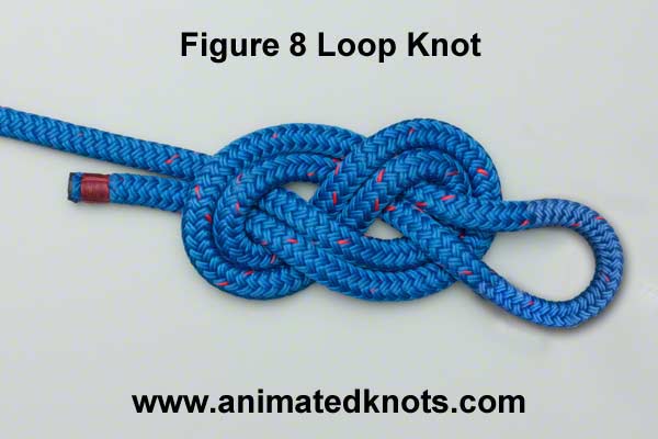 figure_8_loop_knot